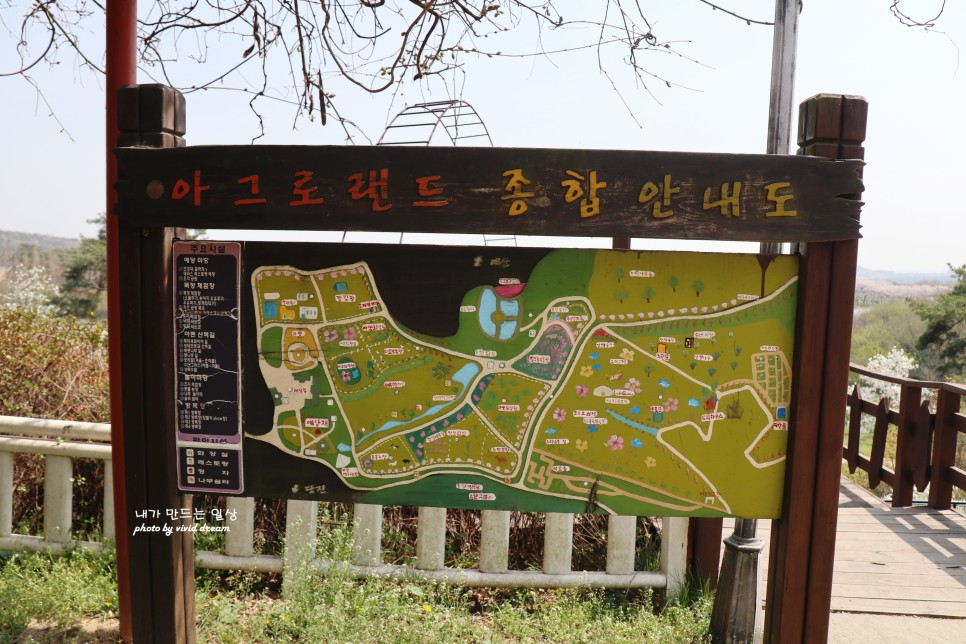 예산 가볼만한곳 추사고택 치유의숲 예산시장 국밥거리 수선화명소 여행코스