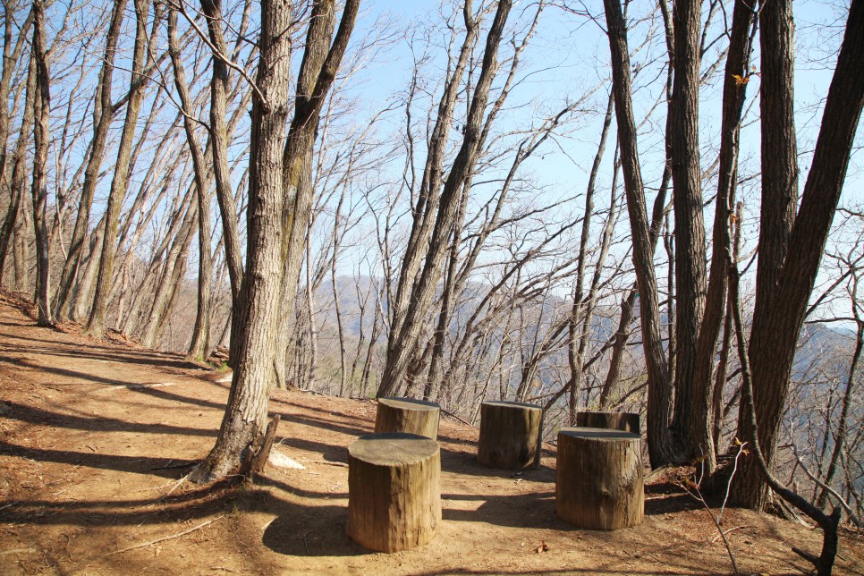 [치악산국립공원] 왕의 숲길을 걷다  치악산 천사봉(feat 부곡탐방지원센터)