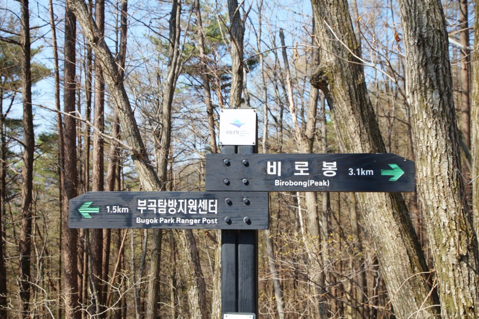 [치악산국립공원] 왕의 숲길을 걷다  치악산 천사봉(feat 부곡탐방지원센터)