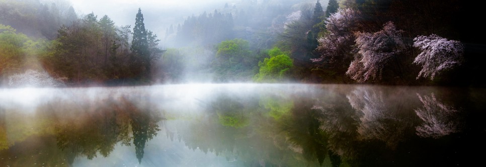 산벚꽃 출사지 화순 세량지의 아름다운 반영 사진 : 사진사와 일반인의 시각의 차이