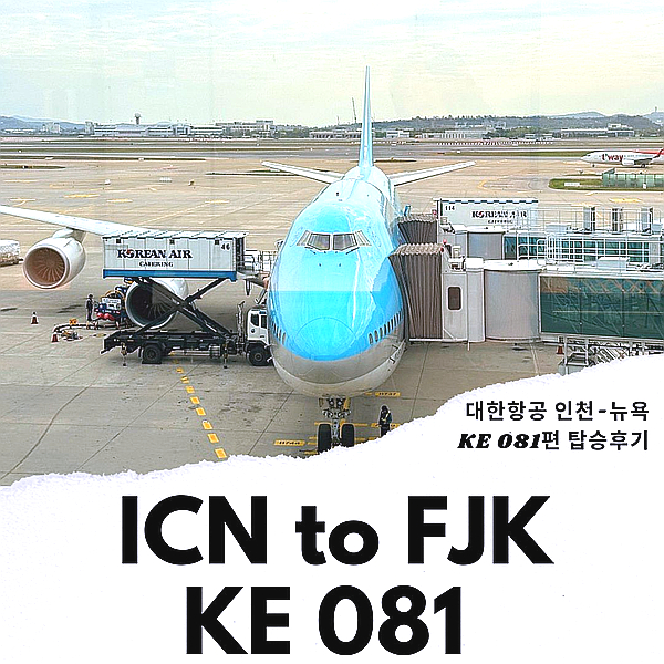 대한항공 뉴욕 JFK KE081 후기 기내식 미국 입국심사 후기