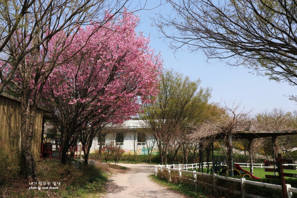 예산 가볼만한곳 추사고택 치유의숲 예산시장 국밥거리 수선화명소 여행코스