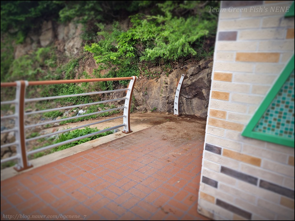 24.04.22 - 부산 가덕도 대항항 포진지동굴 앞 작은 방파제 (낚시하기 괜찮았던 원투낚시 포인트)