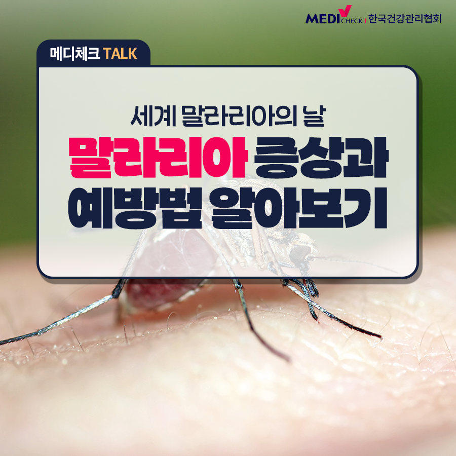 [건강정보] 세계 말라리아의 날 - 말라리아 증상 및 예방법