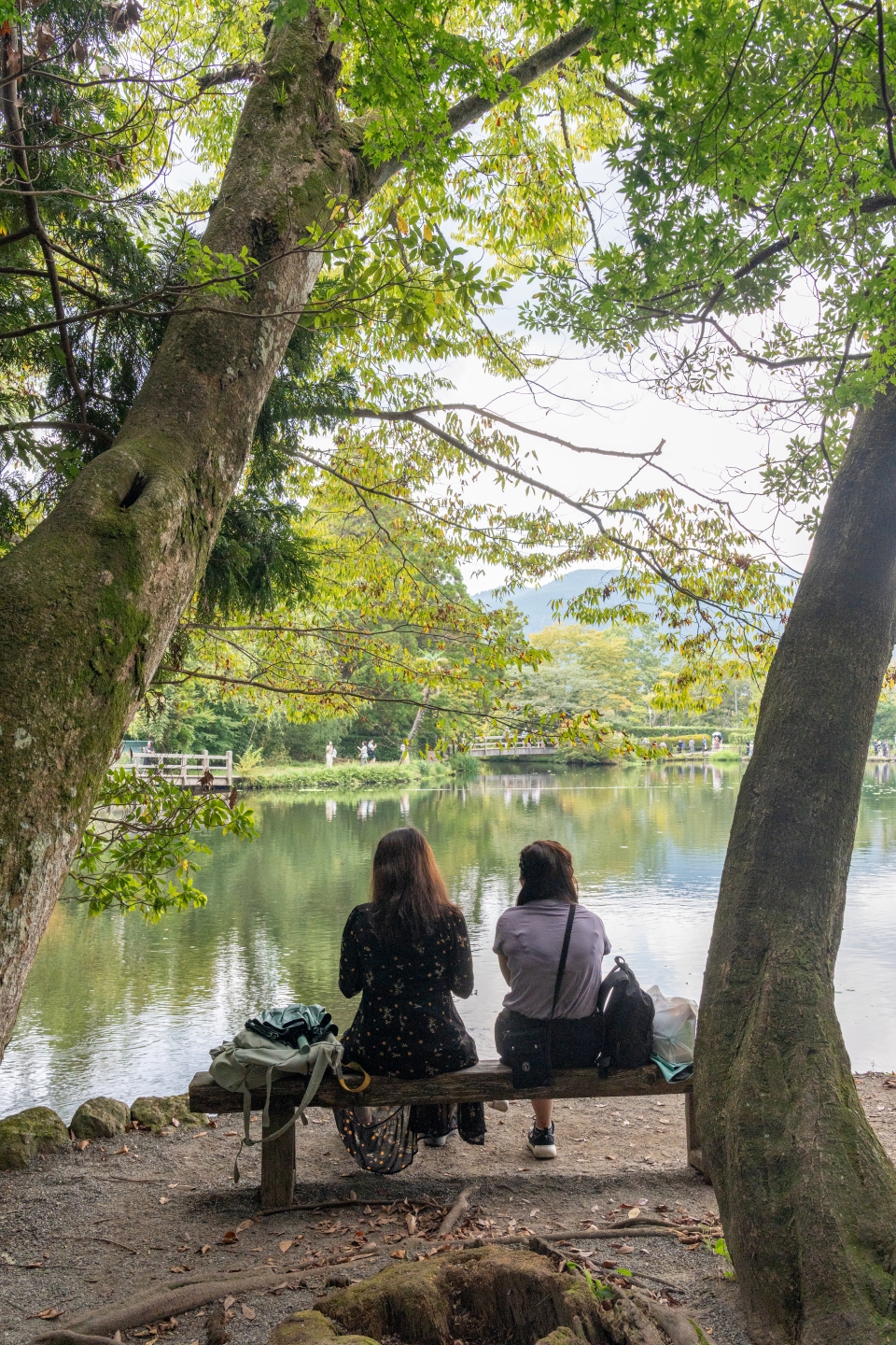 일본 유후인 여행 긴린코 호수 : 일본 가족여행 온천 패키지