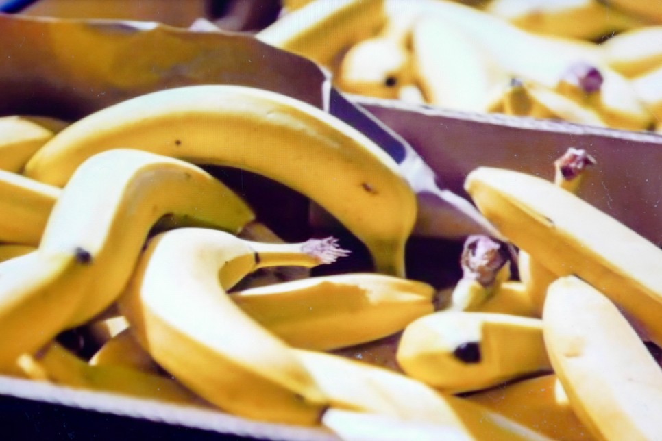 바나나 효능 7가지 부작용 1개 칼로리