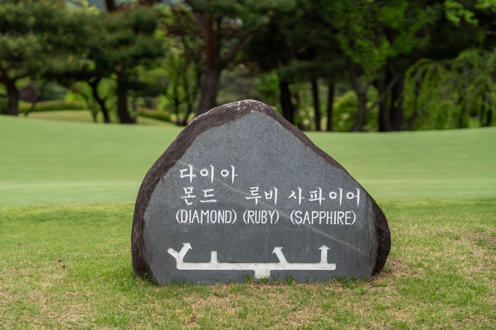 한림용인 라운드 후기 및 코스 컨디션 소개 with 세인트나인골프공