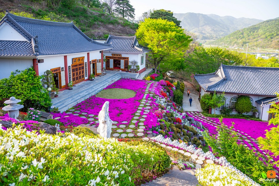 산청 가볼만한곳 여행 경남 사찰 산청 대명사 꽃잔디 축제