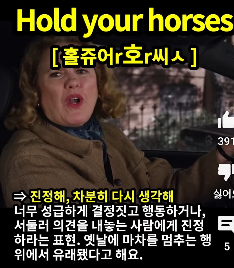 경희애문화와 귀 뚫리는 영어 워워~ 진정해 차분하게 다시 생각해 [홀쥬어r호r씨ㅅ]  Hold your horses