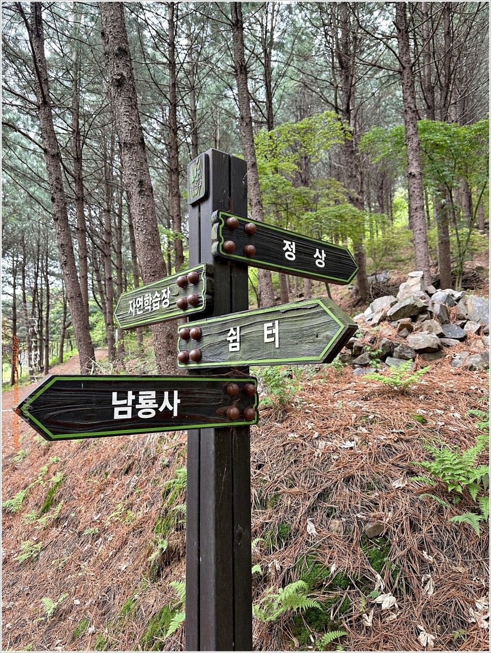 괴산 남산 : 숲내음길~정상~남룡사
