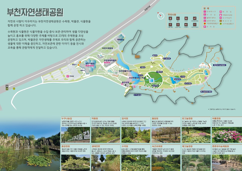 부천 가볼만한곳 부천 자연생태공원 무릉도원수목원 부천 튤립축제 꽃구경