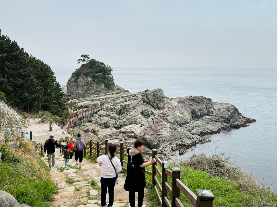 거제 추천 여행지 <신선대> 바람의 언덕과 함께 다녀올만한 곳