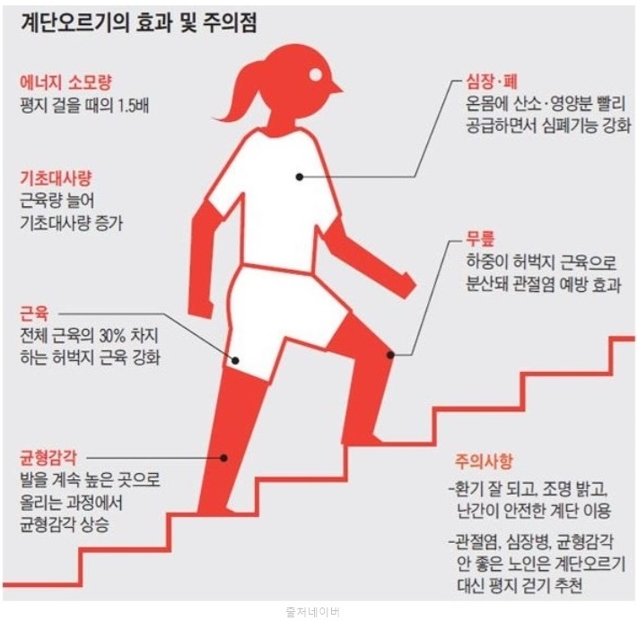 계단 오르기 효과 칼로리 소모 2배 걷기 운동방법 아파트 계단운동
