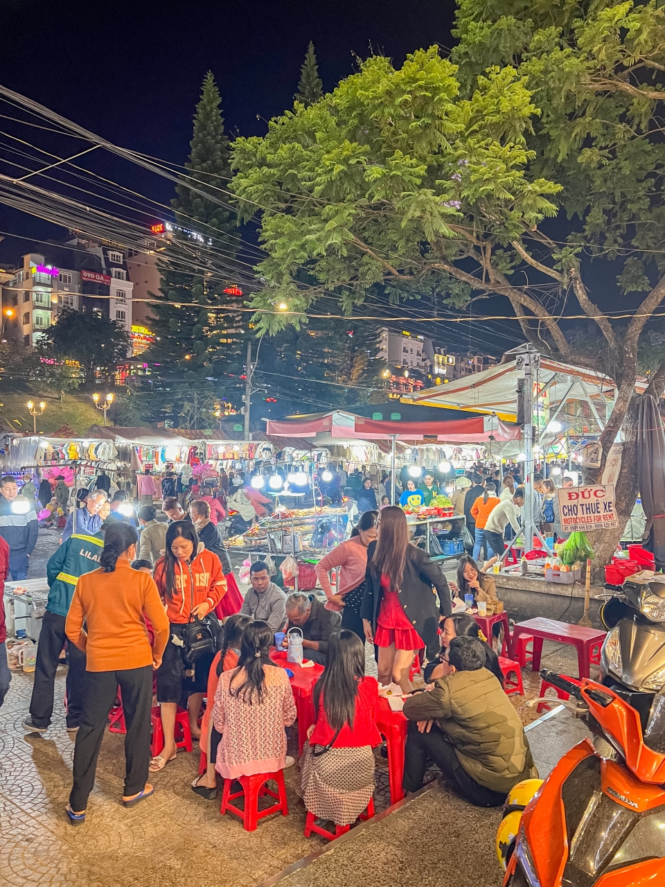 베트남 달랏 여행 코스 가볼만한곳 - 베트남 가족여행