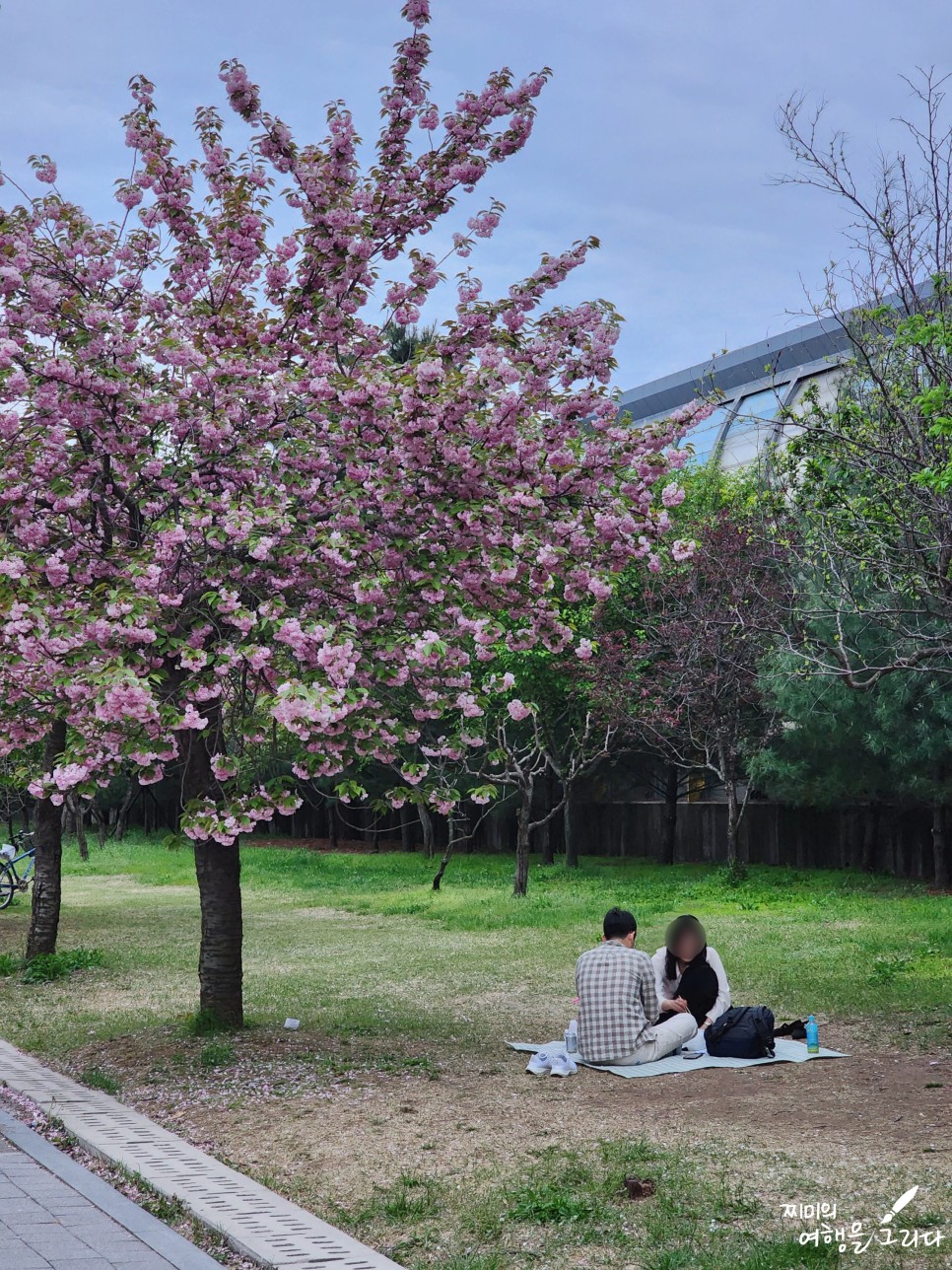 하남 미사경정공원 겹벚꽃 가볼만한곳 여행 놀거리 데이트 조정카누경기장