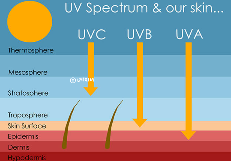 선크림 SPF 30 50 PA+ ++ 뜻 핵심만 간단하게! UVA UVB까지