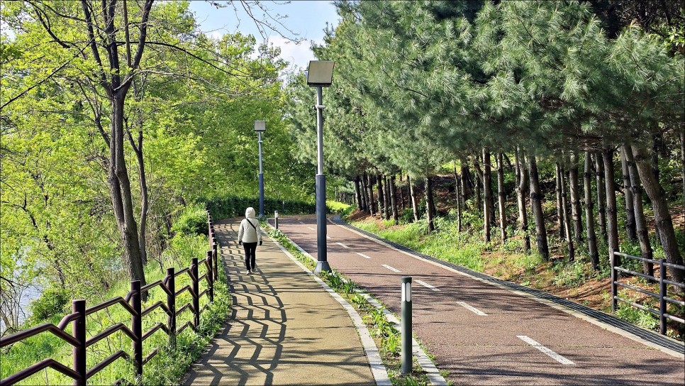 애견동반 용인 데이트 코스 산책하기 좋은 기흥호수공원 용인 산책로!