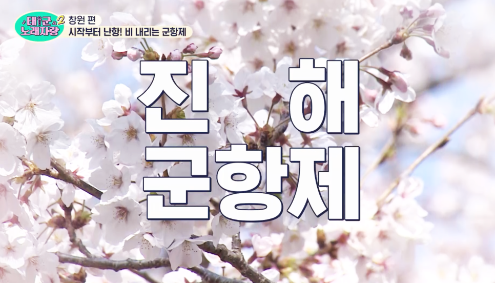 태군노래자랑2 창원편 예능 추천 헬로tv X 더라이프 유튜브