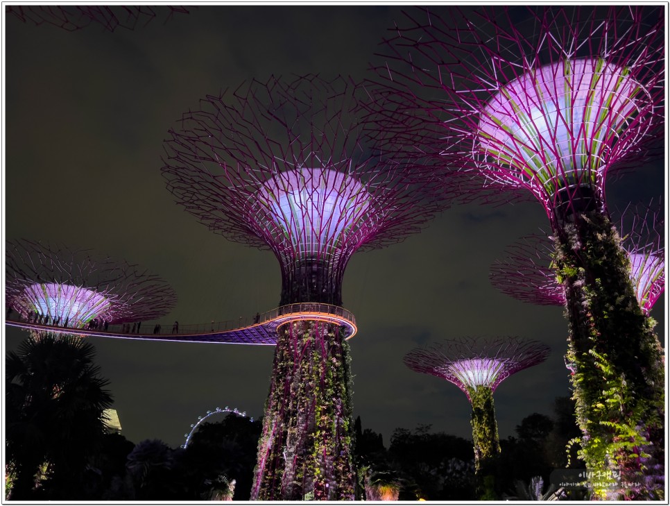 싱가포르 가든스 바이 더 베이 슈퍼트리쇼 시간 및 플라워돔 후기