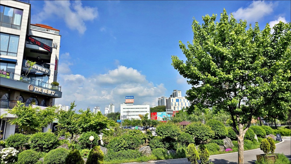 애견동반 용인 데이트 코스 산책하기 좋은 기흥호수공원 용인 산책로!