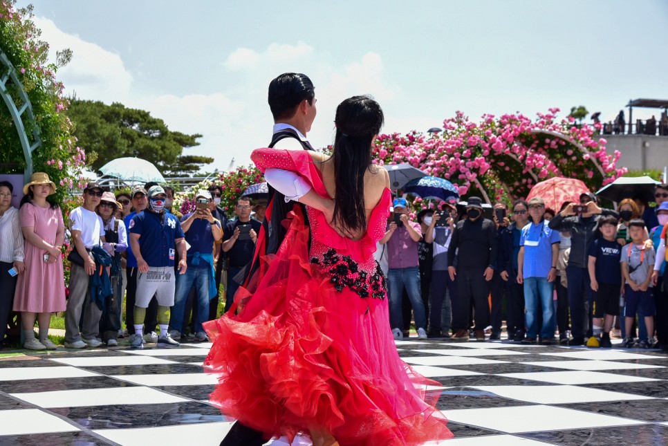 2024 곡성 장미축제 정보 전남  5월 축제 명소