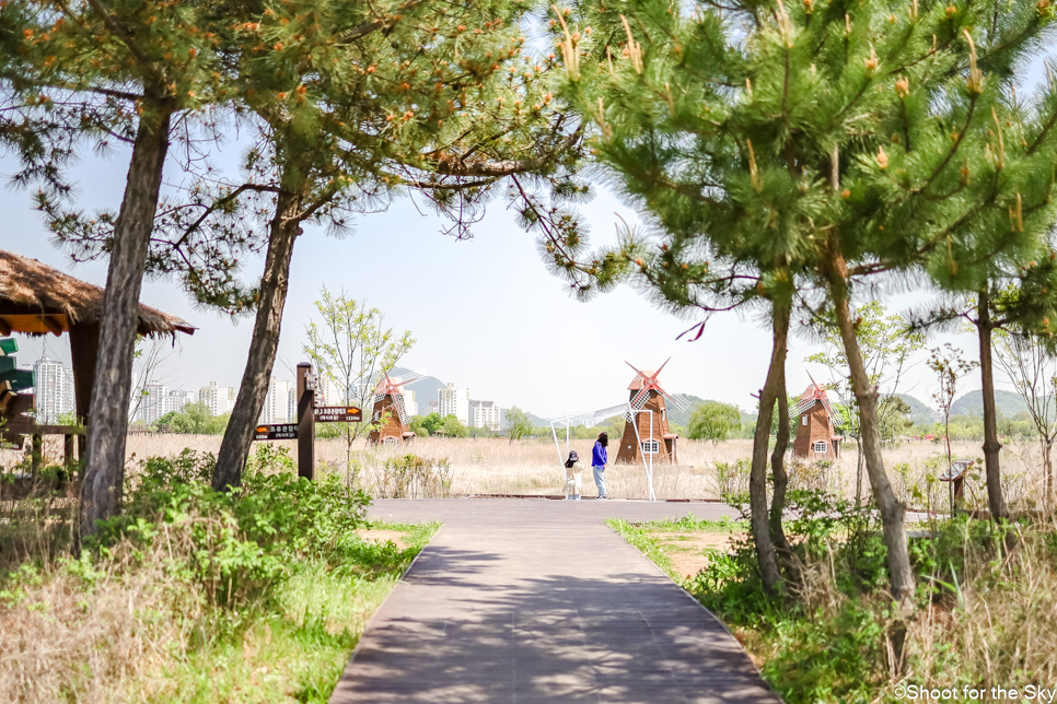 인천 여행지 놀만한곳 갯벌 염전 데이트 산책로 소래습지생태공원