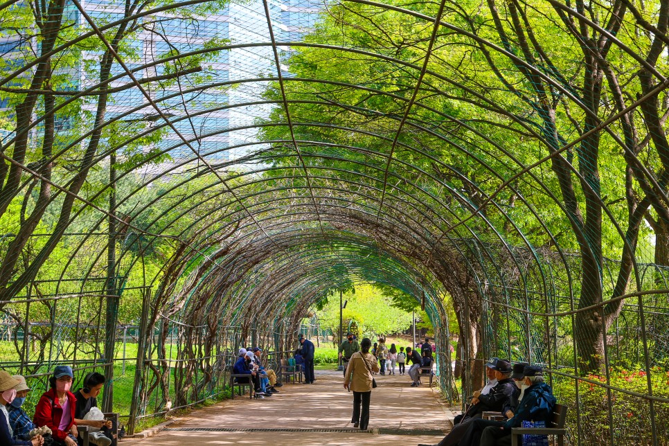 서울 겹벚꽃 명소 서울 보라매공원 지나간 풍경