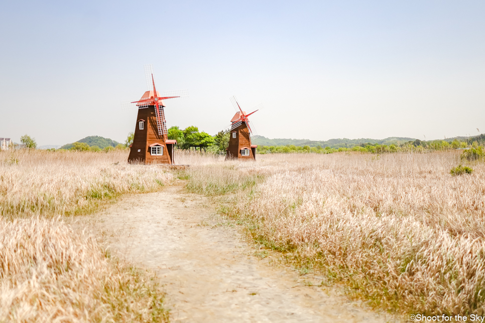 인천 여행지 놀만한곳 갯벌 염전 데이트 산책로 소래습지생태공원