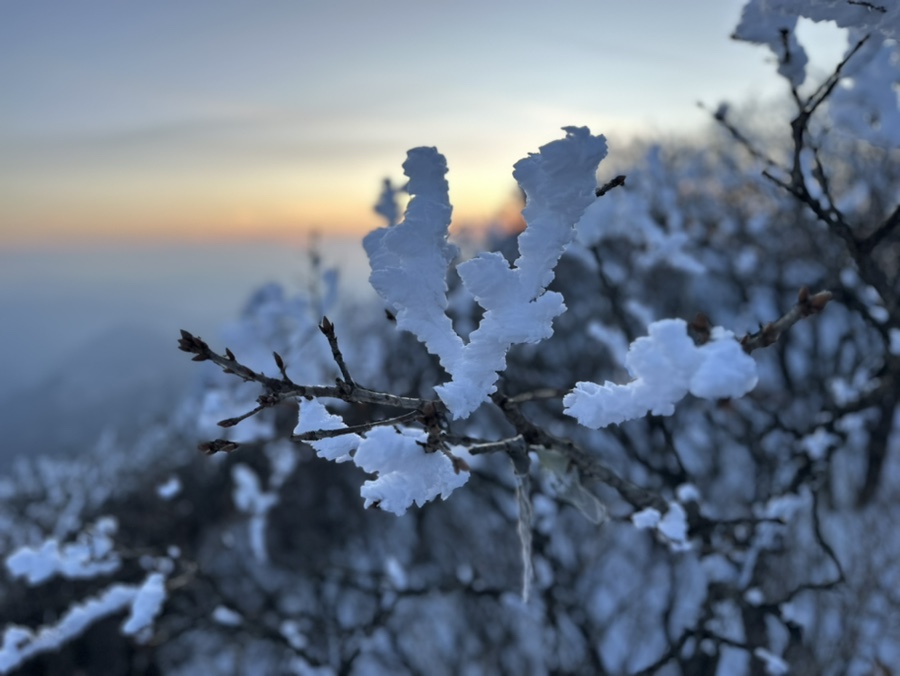 강원 영월 두위봉 등산코스 눈꽃산행 겨울산행 겨울백패킹