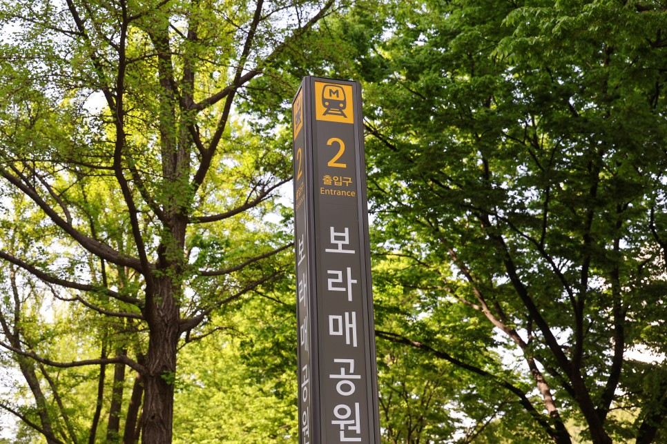 서울 겹벚꽃 명소 서울 보라매공원 지나간 풍경