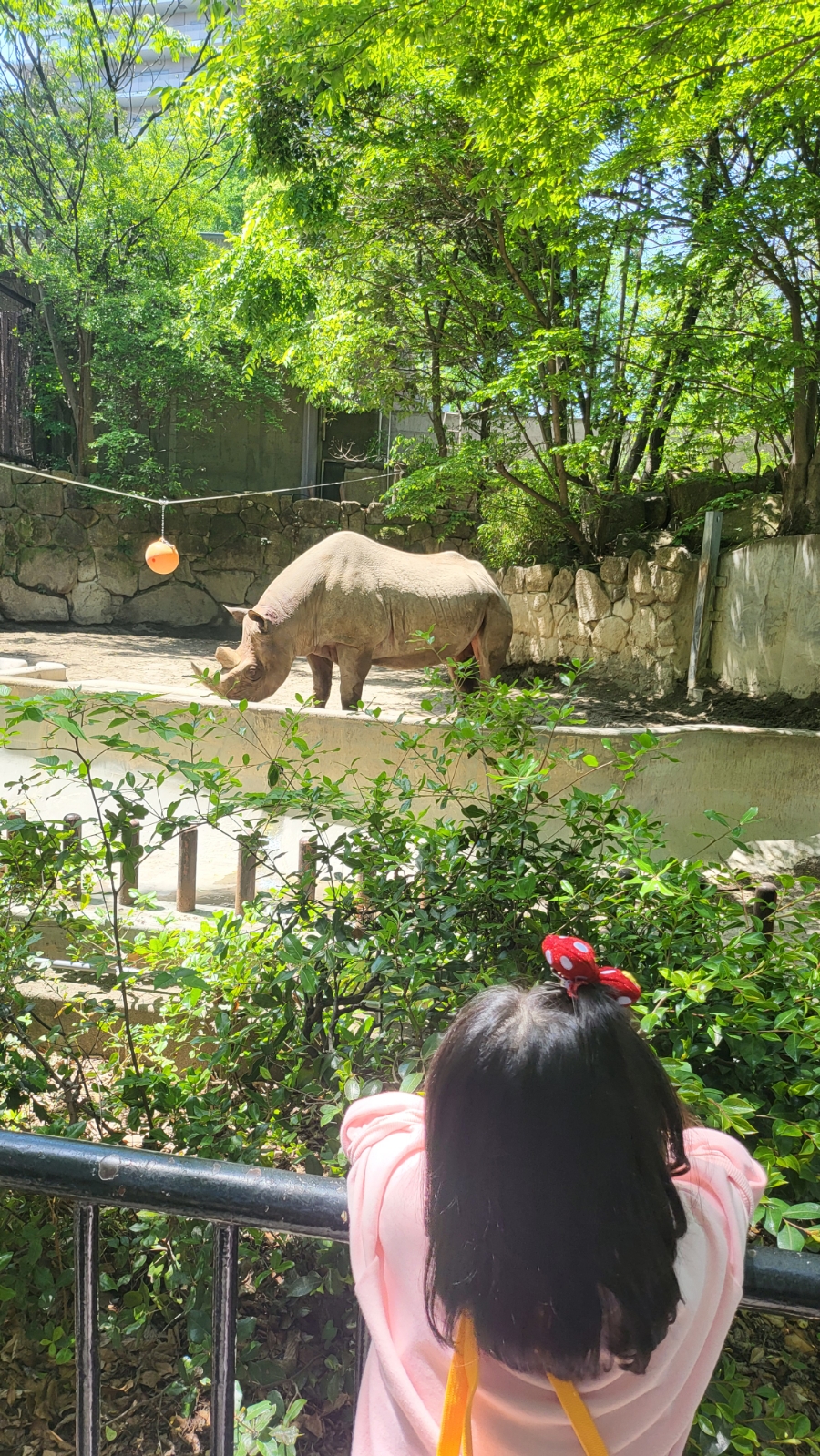됴쿄 우에노 동물원 방문기(1부)