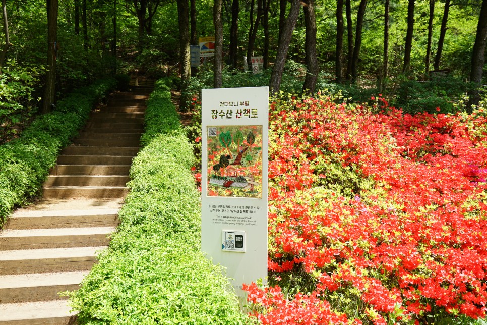 인천 나비공원 아이들과 다녀오기 좋은곳, 주말에 다녀오기 좋네요!