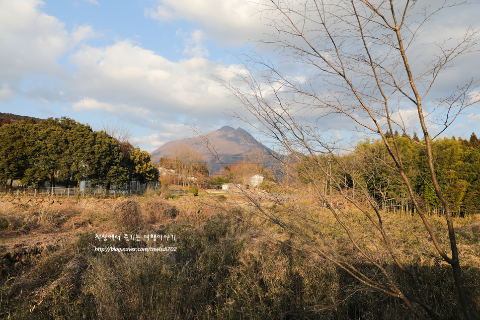 일본 오이타 여행 유후인 온천 료칸 산소와라비노