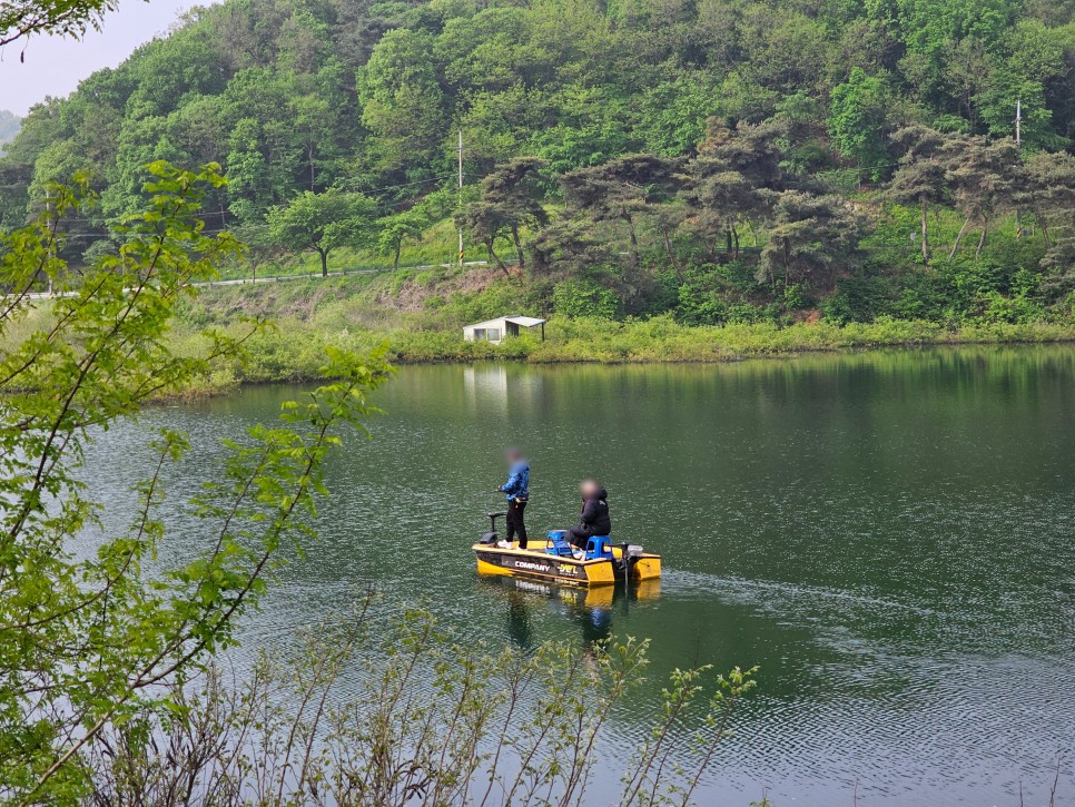 경기도 차박 안성 고삼저수지 캠핑 낚시터 고삼호수 뷰 예쁜 곳