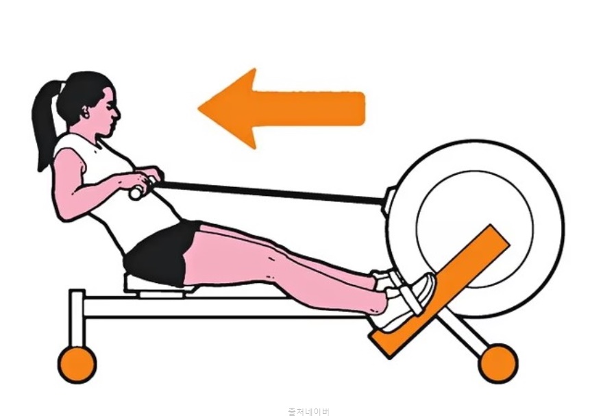 로잉머신 효과 남자 여자 다이어트 체력 기르는 운동 추천 유산소 무산소 방법 종류