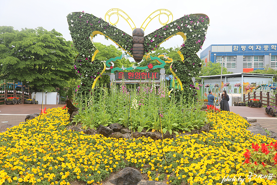 함평나비축제 먹거리 입장료 어린이날행사 함평엑스포공원