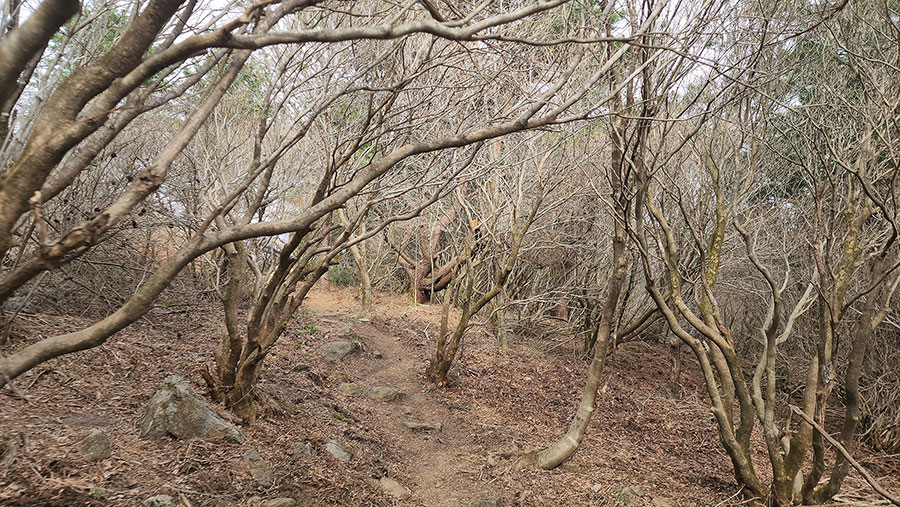 지리산국립공원 정령치 휴게소에서 고리봉까지 가벼운 걷기