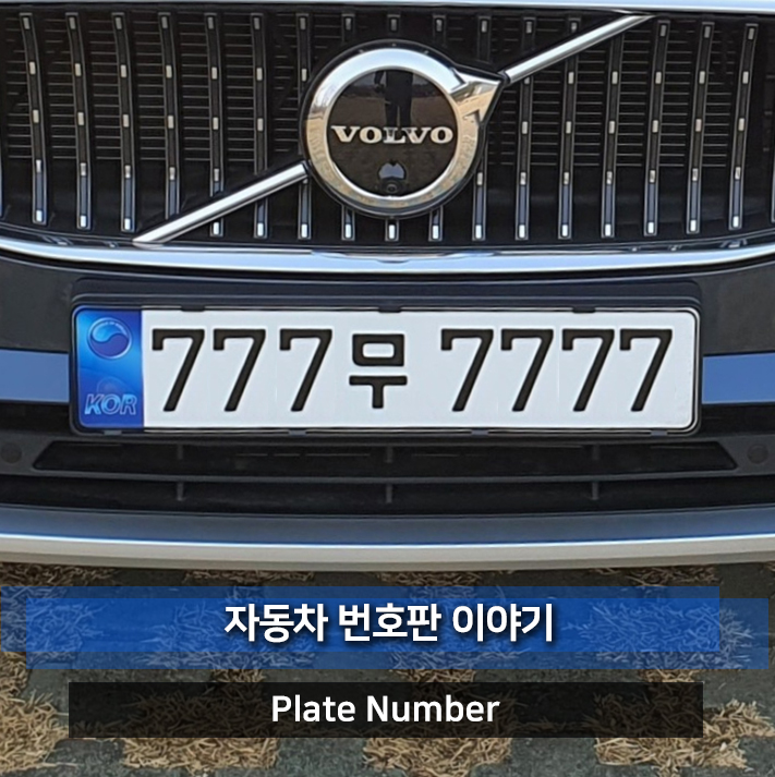 신차 /새차 자동차 번호판 교체 비용 & 봉인 (오토바이,전기차,파란색 신형 / 임시)