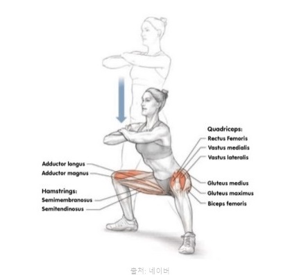 스쿼트 자세 효과 홈트 근력운동 단기간 허벅지 살빼기 하체 살빼는 와이드스쿼트