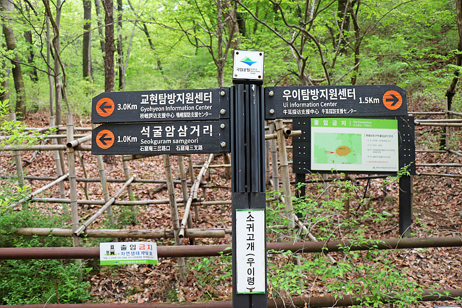 [북한산국립공원] 북한산둘레길 우이령길 걷기 / 야생화 아름다운 숲길