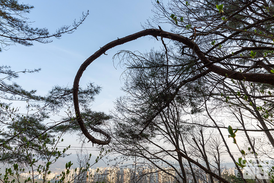 대전 서구 구봉산에서 바라보는 노루벌의 아름다운 일출