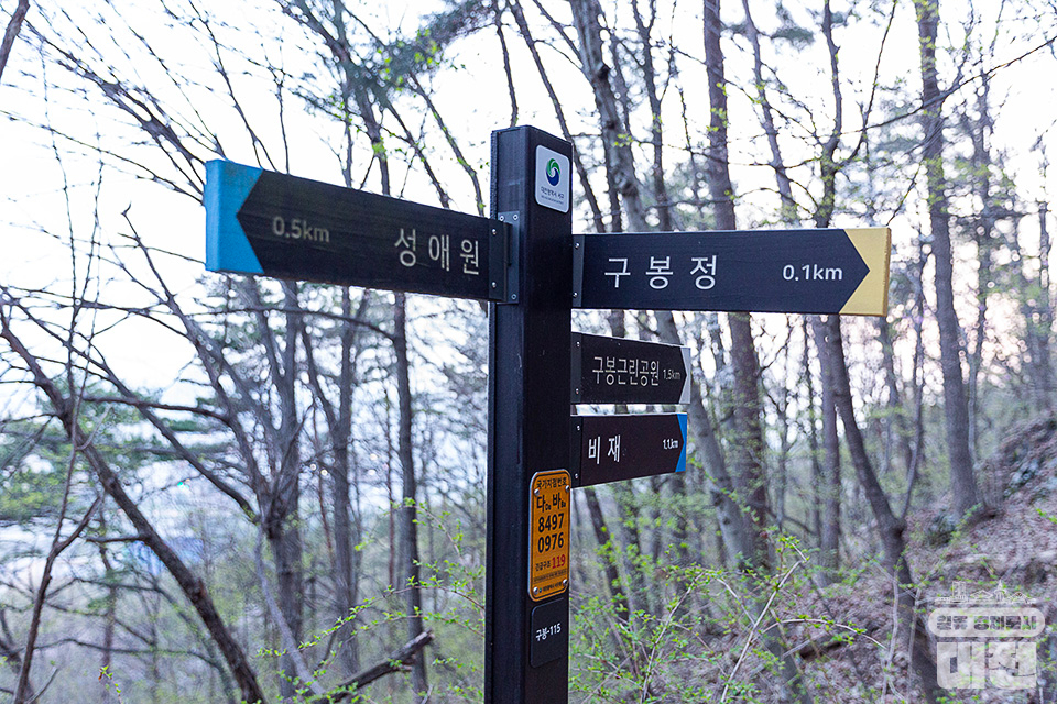 대전 서구 구봉산에서 바라보는 노루벌의 아름다운 일출