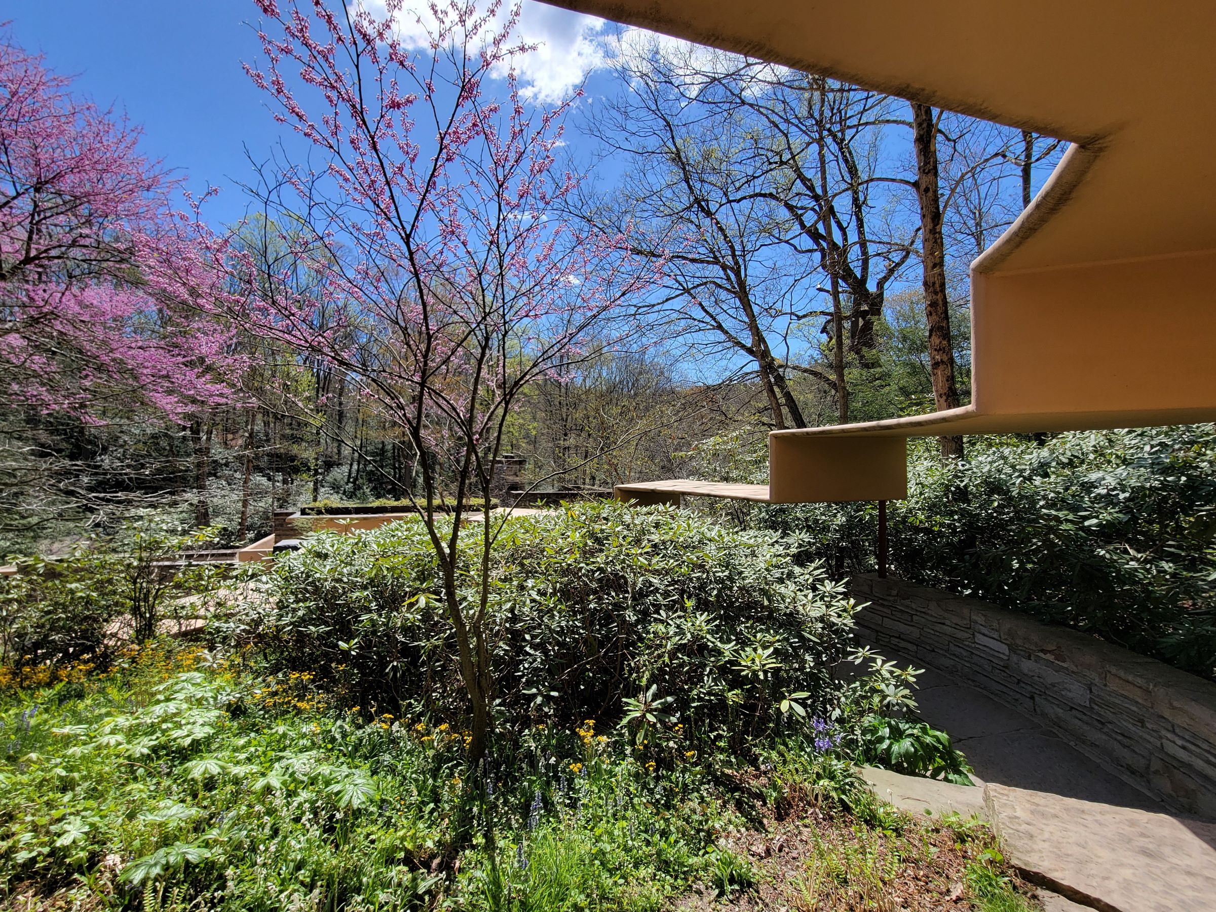 세계에서 가장 유명한 하우스! 프랭크 라이트(Frank Lloyd Wright)의 '낙수장' 폴링워터(Fallingwater) 방문