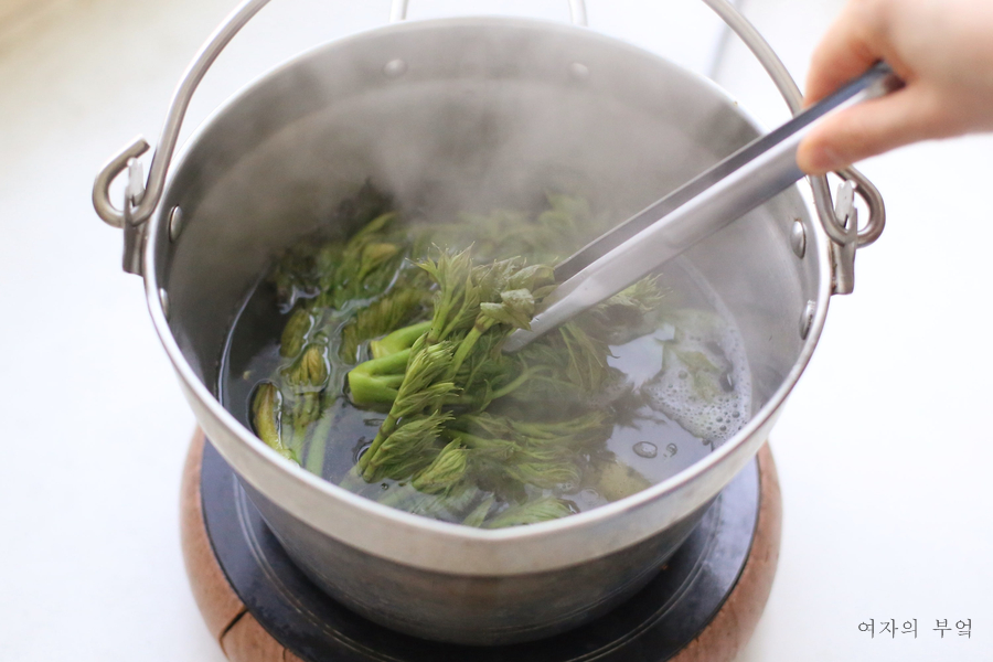 두릅장아찌 만드는법 참두릅 장아찌 담그는법 두릅 데치기 요리