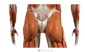 남자 여자 힙업 운동 홈트레이닝 엉덩이 근육 중요성