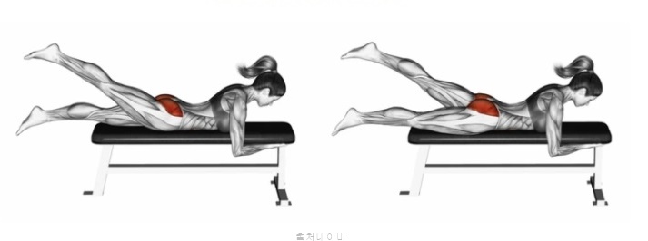 남자 여자 힙업 운동 홈트레이닝 엉덩이 근육 중요성