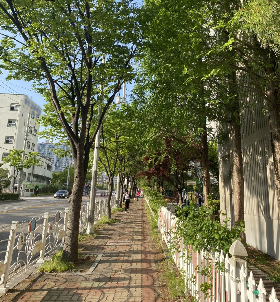 걷기 운동 효과 높이는 법 하루 만보걷기 아침 공복 걷기