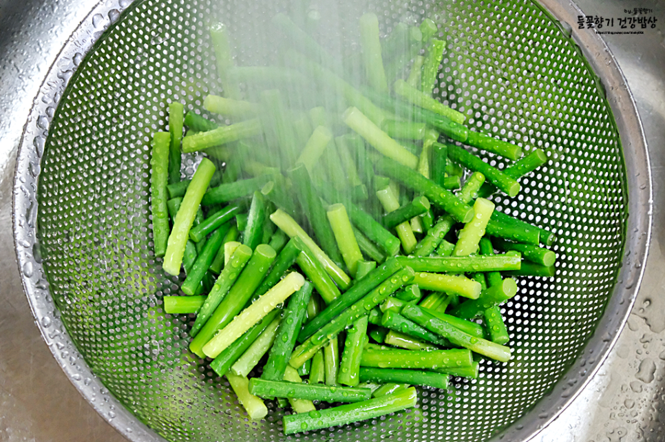 마늘쫑 장아찌 담그는법 간장 마늘쫑장아찌 만들기