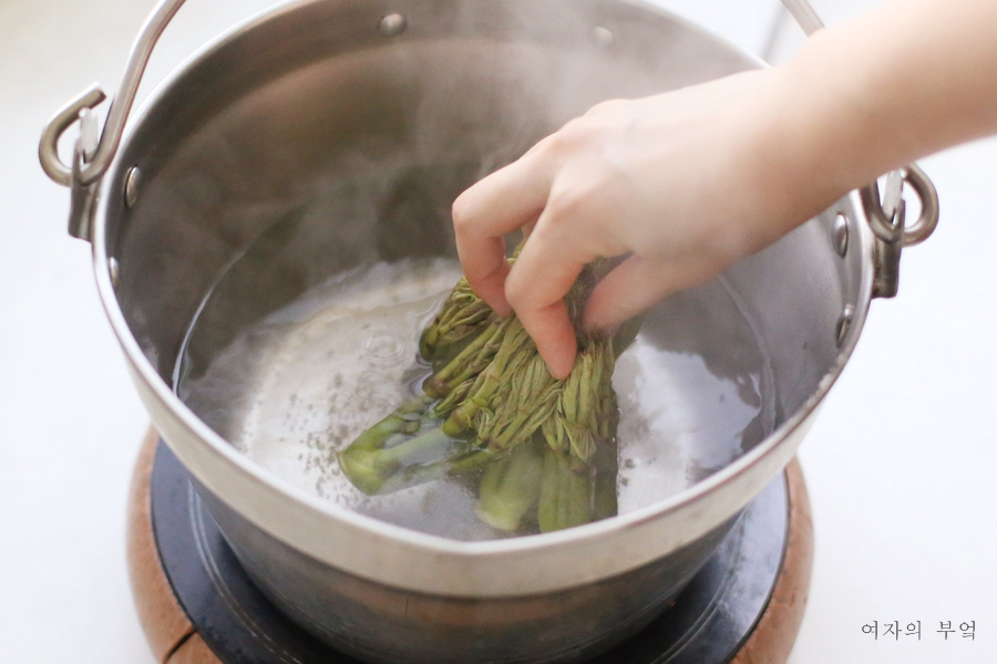 두릅장아찌 만드는법 참두릅 장아찌 담그는법 두릅 데치기 요리