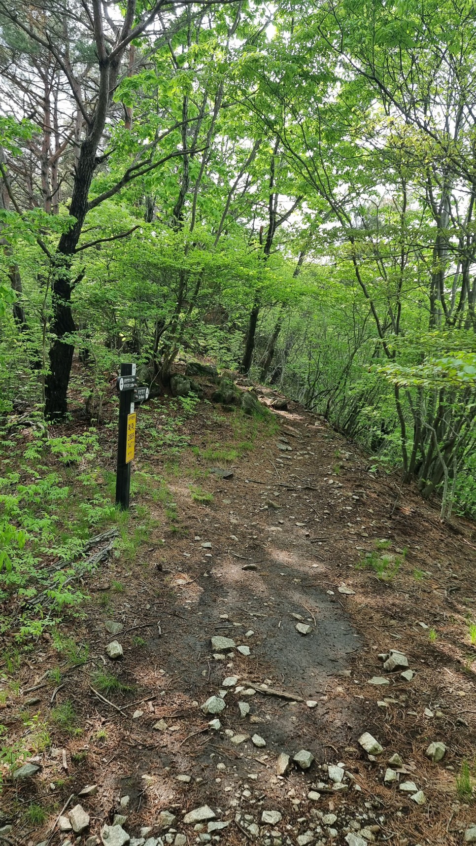 산청 필봉산 & 왕산 등산, 한방자연휴양림 최단코스 산행